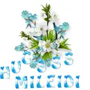 Glitter Graphics  misk 