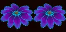 Purple Flower