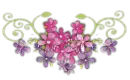 Flower Divider