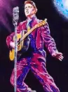 Elvis Aaron Presley