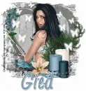 Gied