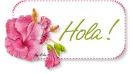 Hola [Hello]