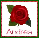 June Rose For Andrea