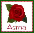 June Rose for Asma