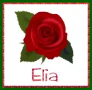 June Rose for Elia
