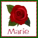 June Rose for Marie