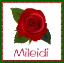 June Rose for Mileidi