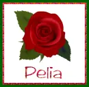 June Rose for Pelia