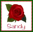 June Rose for Sandy