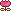 Pink Rose