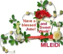 Glitter Graphics misk