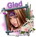 Gied