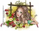 Gied