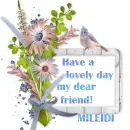 Glitter Graphics misk