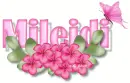 Mileidi