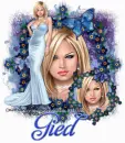 Gied