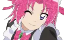 wink maid