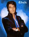 ELVIS