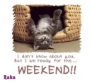Looking foraward to weekend