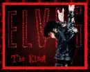 Elvis-The King!