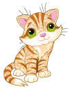 kitty