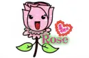 Rose - Flower