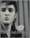 Elvis 
