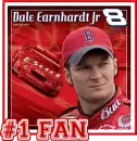 Dale Jr. Fan