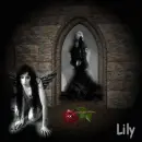 lily