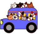 cat