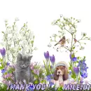 Glitter Graphics
