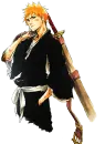kurosaki ichigo