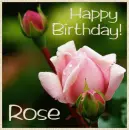 Birthday Rose for Rose