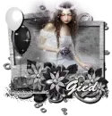 Gied