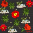 Hawaiin Background