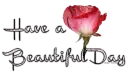Have a Beautiful day 