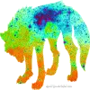 heat wolf