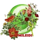 Glitter Graphics-misk