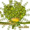 Glitter Graphics-misk