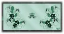 Teal Background