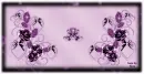 Purple Background - Sparkles