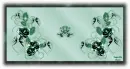 Teal Background - Sparkles