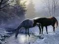 Horses