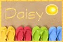 Flip Flops for Daisy