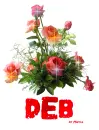 DEB