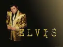 ELVIS