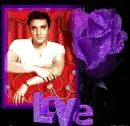 Elvis-LOVE
