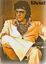 ELVIS