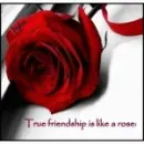 friendship