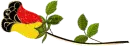 The german rose